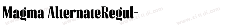 Magma AlternateRegul字体转换